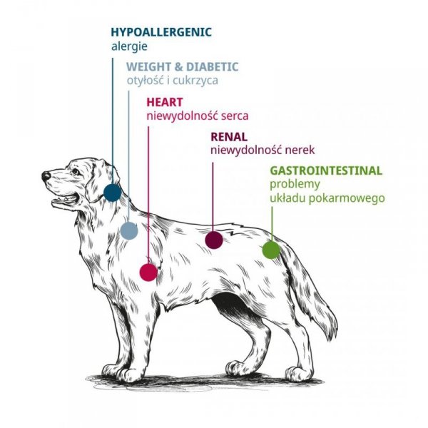 JOSERA Hypoallergenic dla psa 10kg