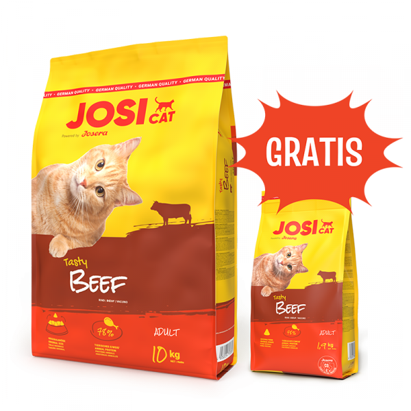 Josera Zestaw Josicat Tasty Beef 10 kg + 1,9kg gratis