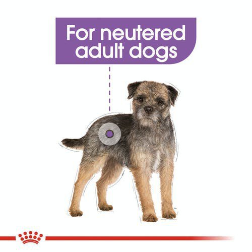 Royal 272260 CCN Mini Sterilised 3kg