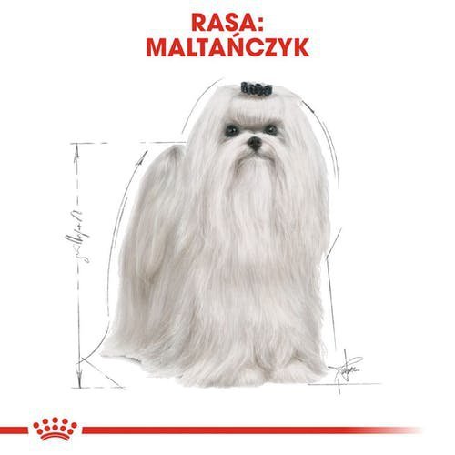 Royal 265710 Maltese Adult 1,5kg