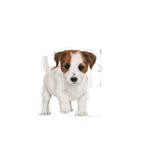 Royal 313890 Mini Puppy 2kg