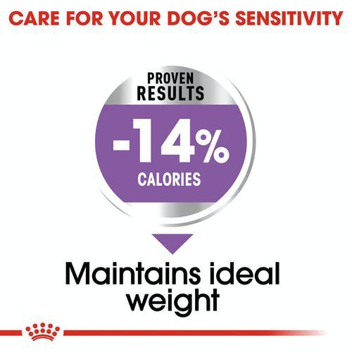 Royal 272370 CCN Mini Sterilised 8kg
