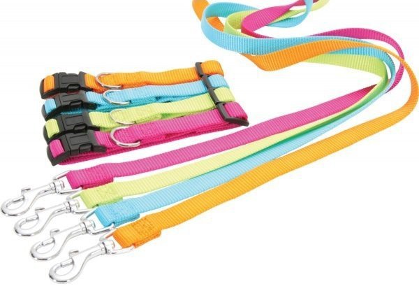 Zolux 462030TUR Smycz nylon XL 40 mm turkusowy
