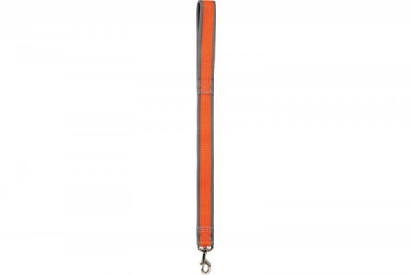 Zolux  Smycz Summer 40mm/60cm orange*