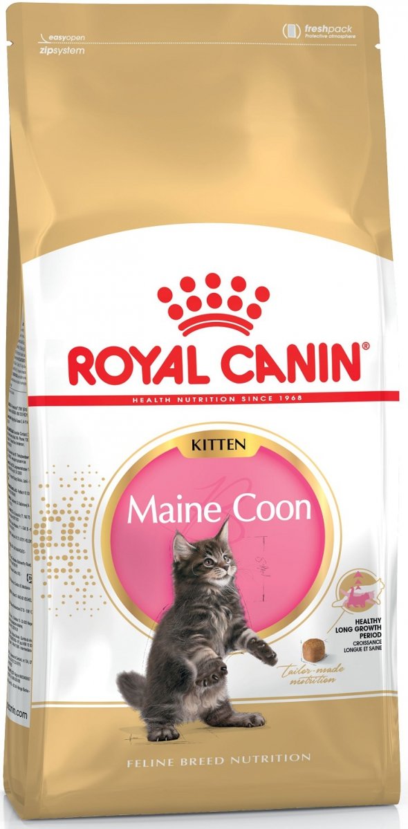 Royal Canin Maine Coon Kitten 10kg