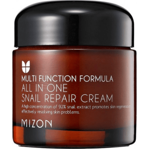 All In One Snail Repair Cream - Wielofunkcyjny krem ze śluzem ślimaka 75 ml