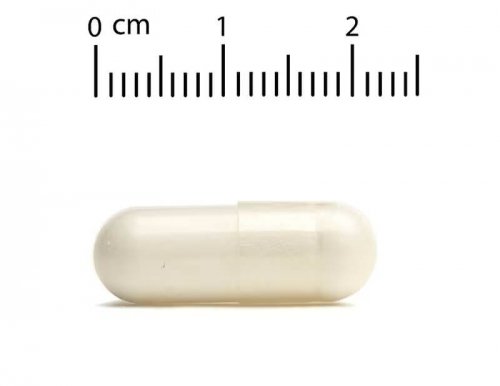 colostrum kapsułka