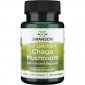 SWANSON Full Spectrum Chaga Mushroom (60 kaps.) 