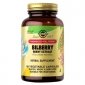 SOLGAR SFP Bilberry Berry Extract - Ekstrakt z jagód czarnej borówki (60 kaps.) 