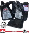 Filtr + olej DEXTRON VI automatycznej skrzyni biegów 4L80-E Chevrolet Tahoe 1997-1999