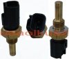 Czujnik temperatury silnika Ford Thunderbird 3,9 V8 2004-2005