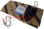 Napinacz łańcucha rozrządu Dodge Ram V8 2009-