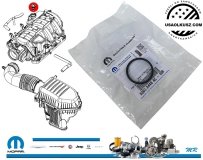 Oring uszczelniacz zaworu PCV Lancia Thema 5,7 V8