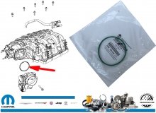 Uszczelka przepustnicy 5281822AA Dodge Charger 3,6 V6