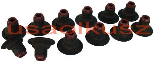 Uszczelniacze zaworowe Pontiac Trans Sport 3,4 V6