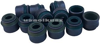 Kpl uszczelniaczy zaworowych silnika RAM Cargo Van 3,6 V6