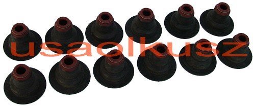 Uszczelniacze zaworowe Pontiac Trans Sport 3,4 V6