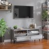 Szafka pod TV, szary dąb sonoma, 100x34,5x44,5 cm