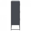 Szafka, antracytowa, 68,5x38,5x123,5 cm, stal