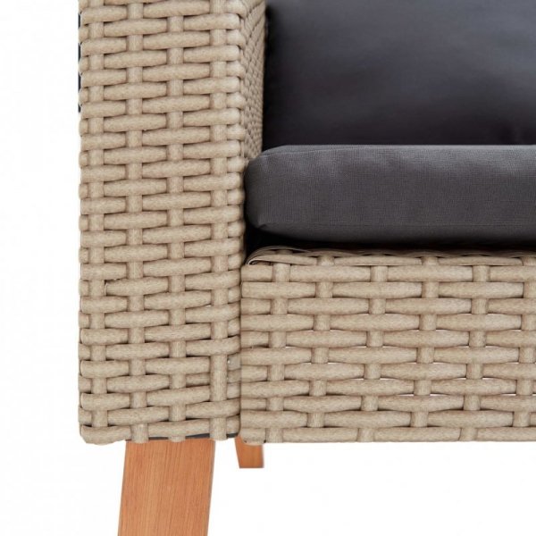 2-osobowa sofa ogrodowa z poduszkami, rattan PE, beż