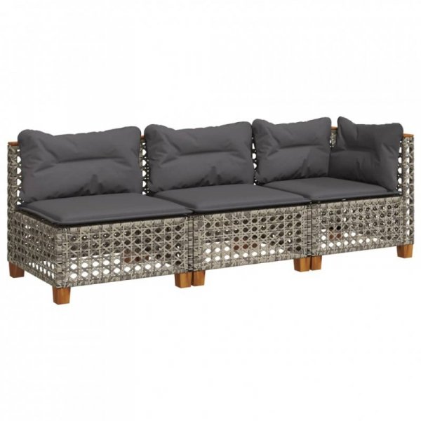 3-osobowa sofa ogrodowa z poduszkami, szara, polirattan