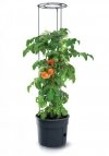 DONICZKA TOMATO GROWER - ANTRACYTOWY 12L (1 SZT)
