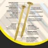WKRĘT DO DREWNA Z KOŁNIERZEM NA TORX OCYNKOWANY 10*280MM T40 (50 SZT)