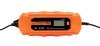 PROSTOWNIK AUTOMATYCZNY 6A/100W,3-150AH DO AGM/GEL (1 SZT)