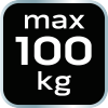 Przyssawka do szyb aluminiowa, podwójna, 100 kg