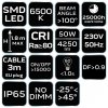 Reflektor pojedynczy 50W SMD LED 4250lm 230V na statywie 1.8m