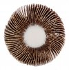 Ściernica listkowa trzpieniowa 60 x 15 x 6 mm, P80