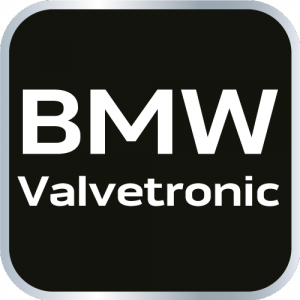 Zestaw blokad rozrządu do silników benzynowych BMW z systemem Valvetronic.