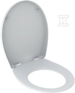 REKORD DESK.SEDES.TERMOPLAST,ZAW.GÓRNY, (SZT)