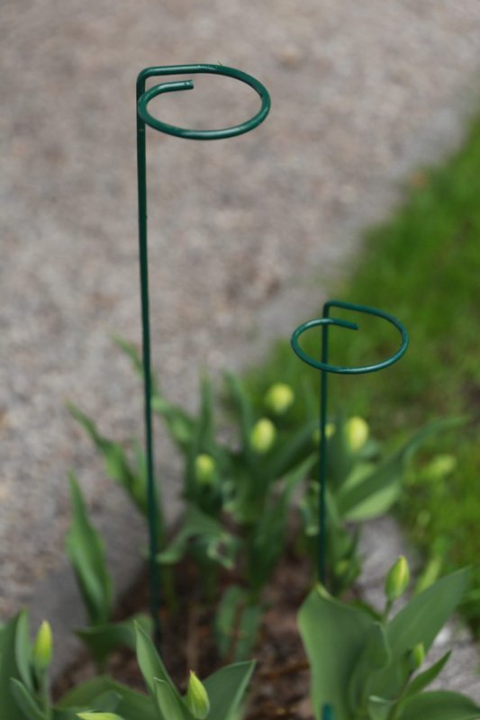 PODPORA DO ROŚLIN OCZKO 110CM (1 SZT)