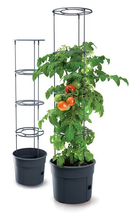 DONICZKA TOMATO GROWER - ANTRACYTOWY 12L (1 SZT)