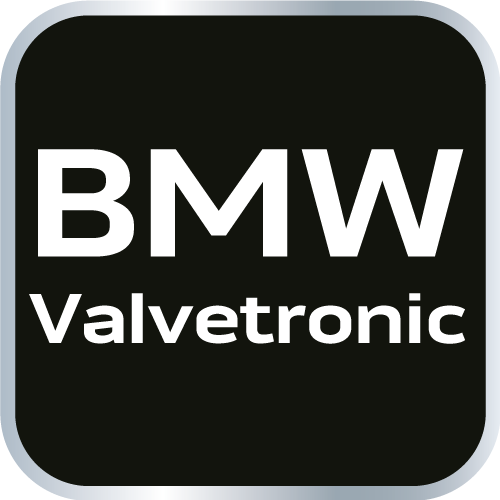 Zestaw blokad rozrządu do silników benzynowych BMW z systemem Valvetronic.