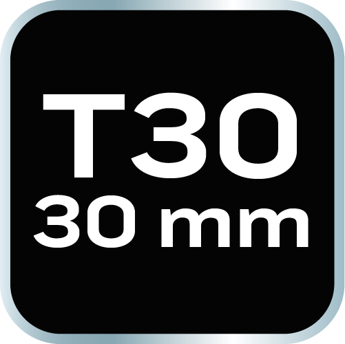 Końcówka TORX T30 x 30 mm, S2 x 2 szt.