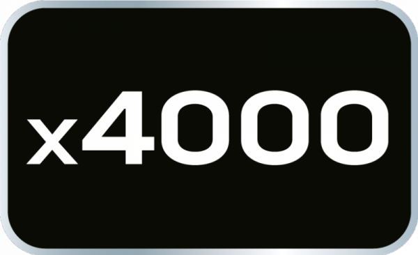 Gwoździe galwanizowane do zszywacza pneumatycznego (14-570), GA18, Typ 300 (F), długość 50 mm, 4000