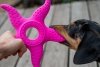 Kiwi Walker 2w1 OCTOPUS & STARFISH pomarańczowy