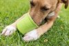 LickiMat® Yoggie Pot zielony