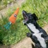 GREEN & WILD'S Candice the Carrot (Marchewka)