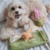 Pups & Bubs RAVIOLI zabawka węchowa 