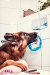 Mata LickiMat® Splash™ turkusowa