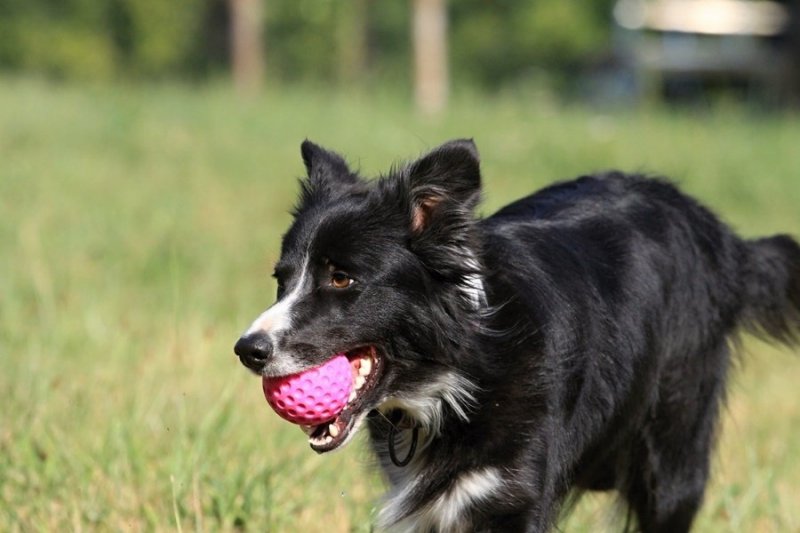 Kiwi Walker Let's Play! BALL Mini piłka pomarańczowa