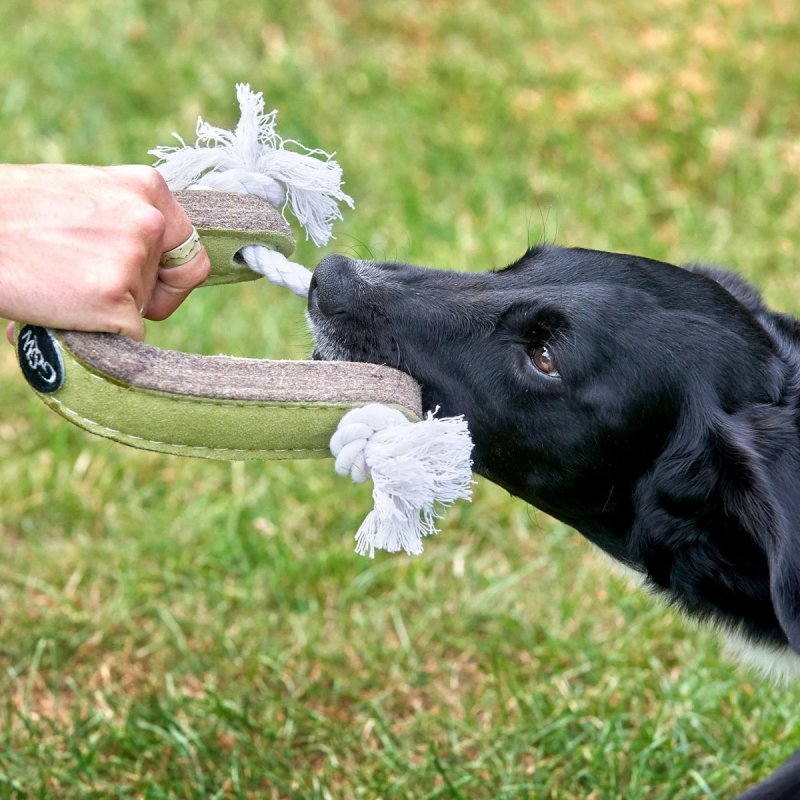 GREEN &amp; WILD'S Push Me Pull Me (Szarpak)