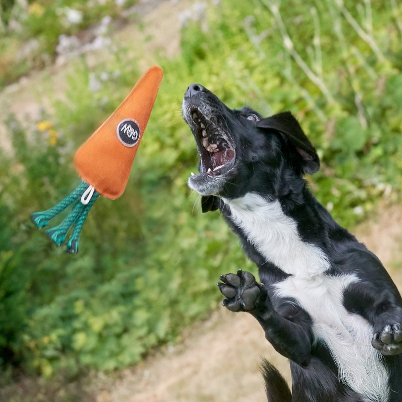 GREEN &amp; WILD'S Candice the Carrot (Marchewka)