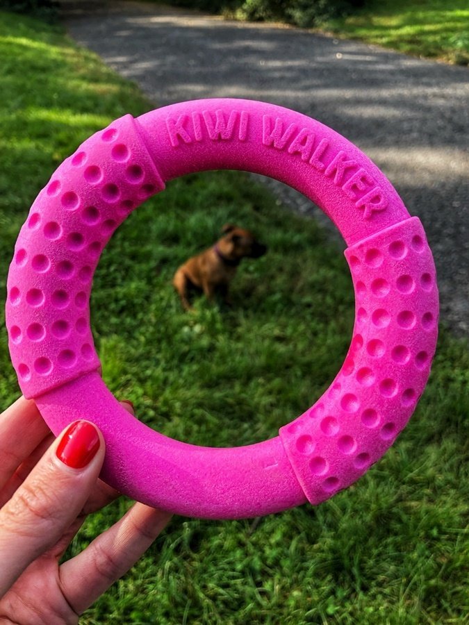 Kiwi Walker Let's Play! RING Mini zielony