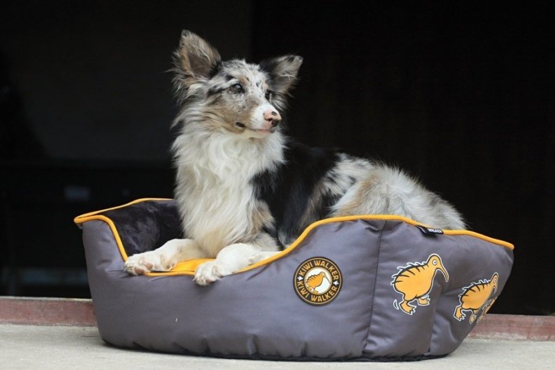 Kiwi Walker OVAL PET BED pomarańczowo-szary rozmiar XL