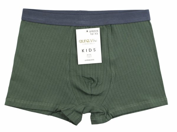 Bokserki dziecięce Aura.Via KIDS w zielonym kolorze to idealny wybór na co dzień. Wysoka zawartość bawełny gwarantuje komfort noszenia, a dodatek elastanu sprawia, że bielizna dobrze dopasowuje się do sylwetki dziecka.