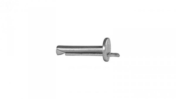 Kotwa gwoździowa DA 6x60mm /opak. = 100 szt./ (9635DA) CELO